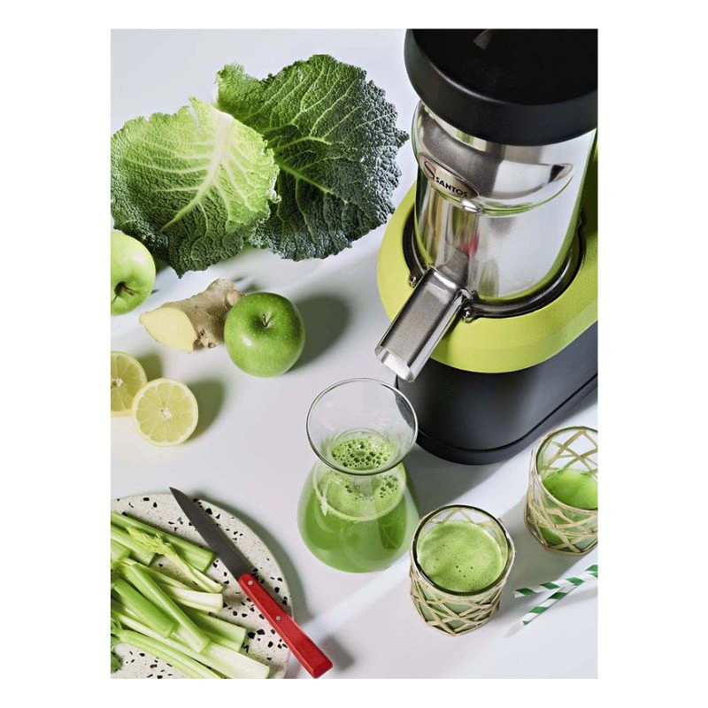 EXTRACTEUR DE JUS