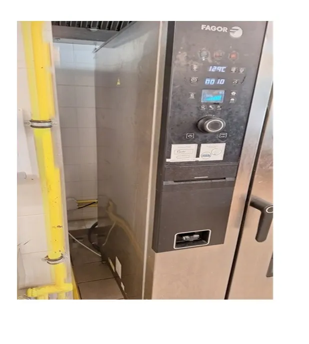 Four combiné électrique à vapeur d'occasion